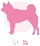 inu.jpg